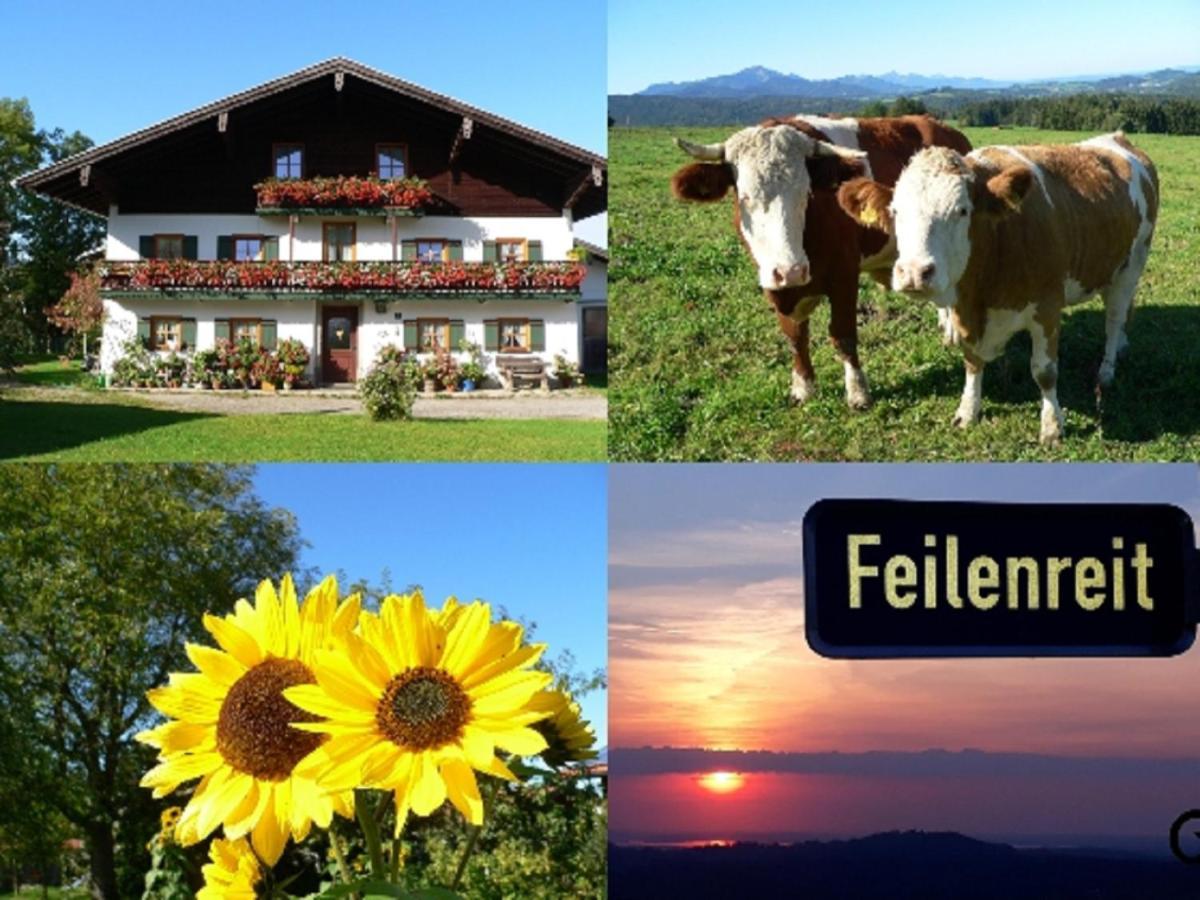 Fembacherhof Зигсдорф Екстериор снимка